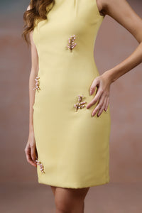 Blush Motif Dress